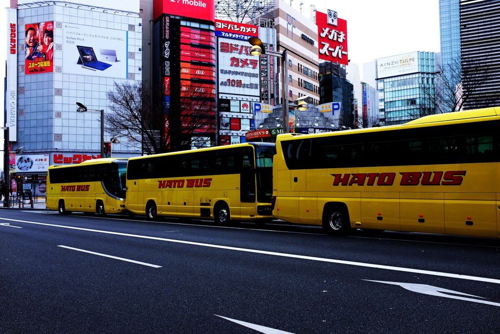 HATO BUS 