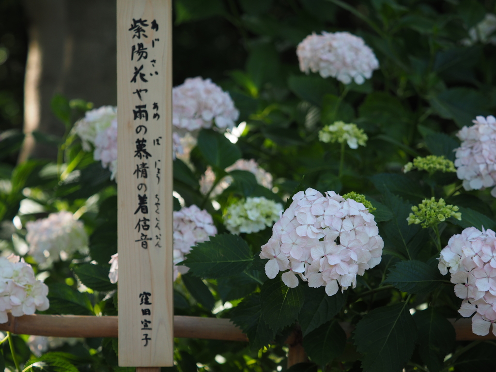 園