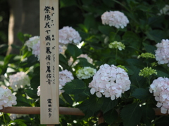 園