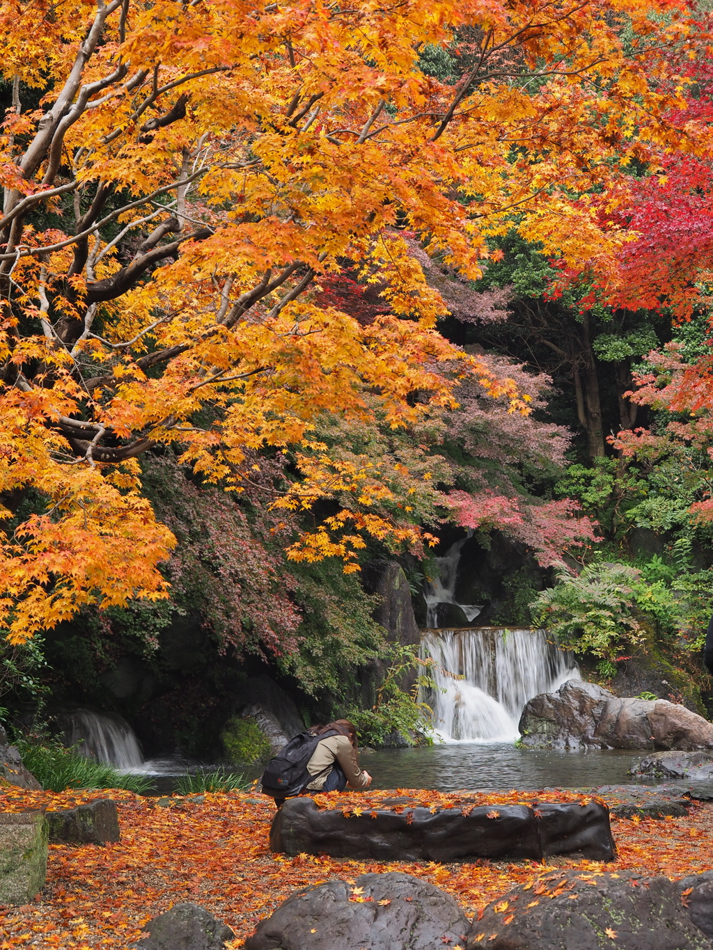 滝と紅葉