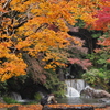 滝と紅葉