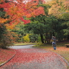 紅葉を写す女性