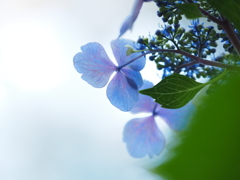 う
