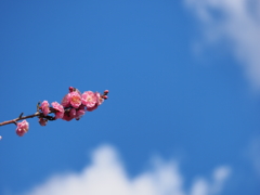 青空