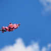 青空
