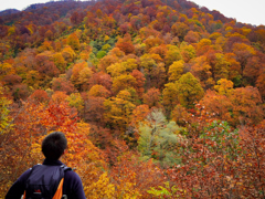 雨飾山　紅葉