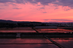 夕景