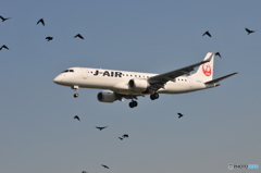 鳥と共に