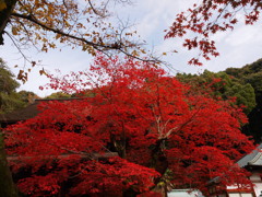 定光寺