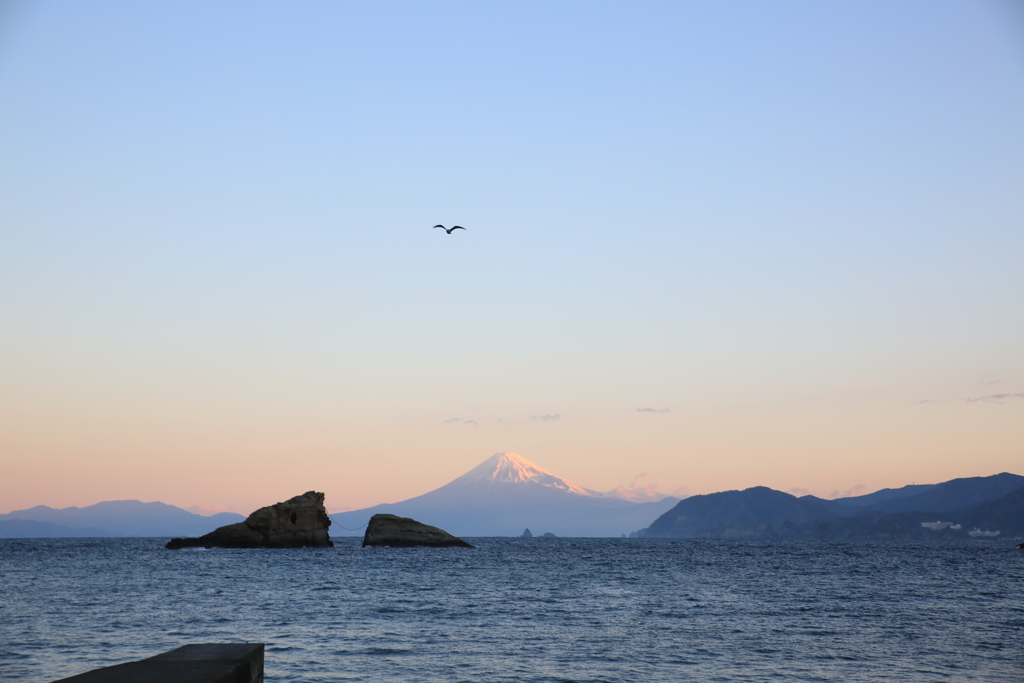 大空を舞う