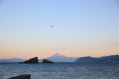 大空を舞う