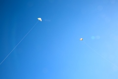 Blue Sky！