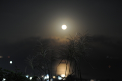 月夜の晩に