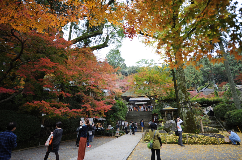 紅葉真っただ中