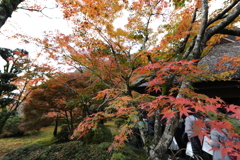 みな九年庵