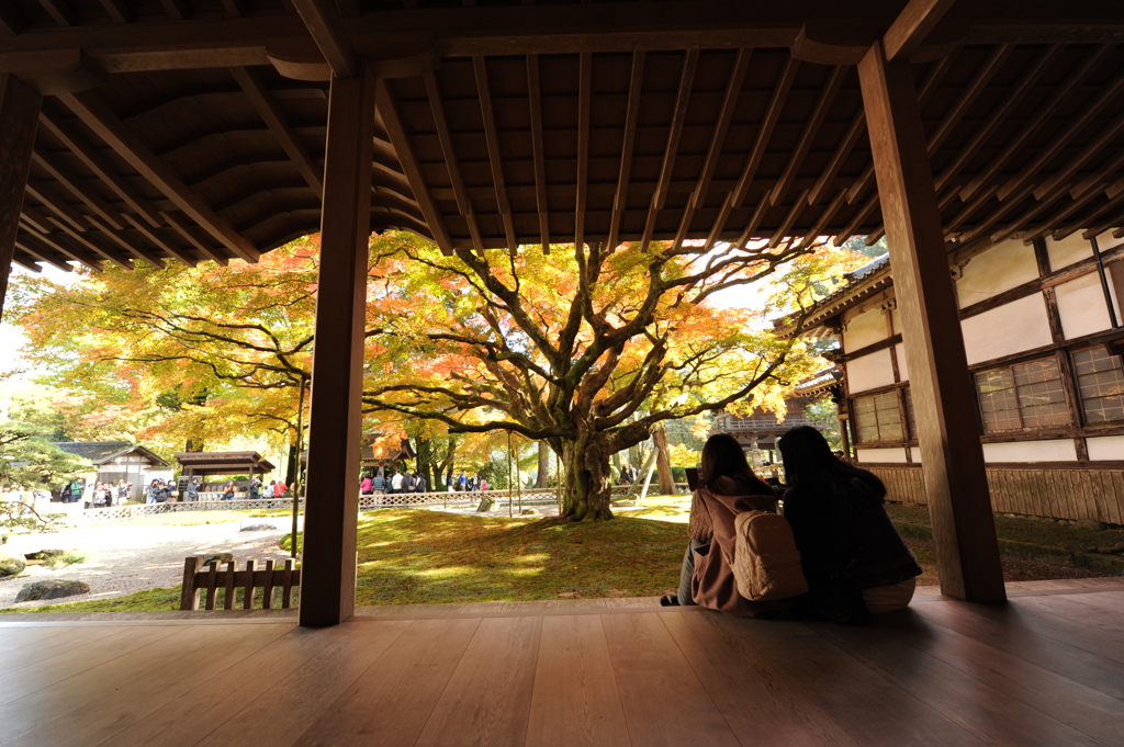 雷山千如寺大悲王院