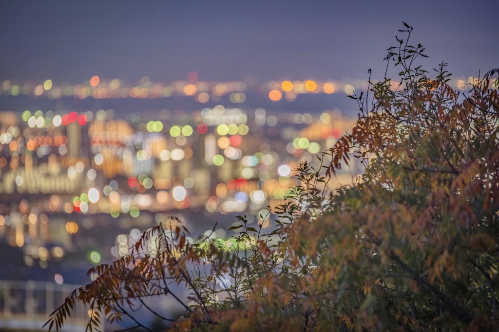 Nishinomiya