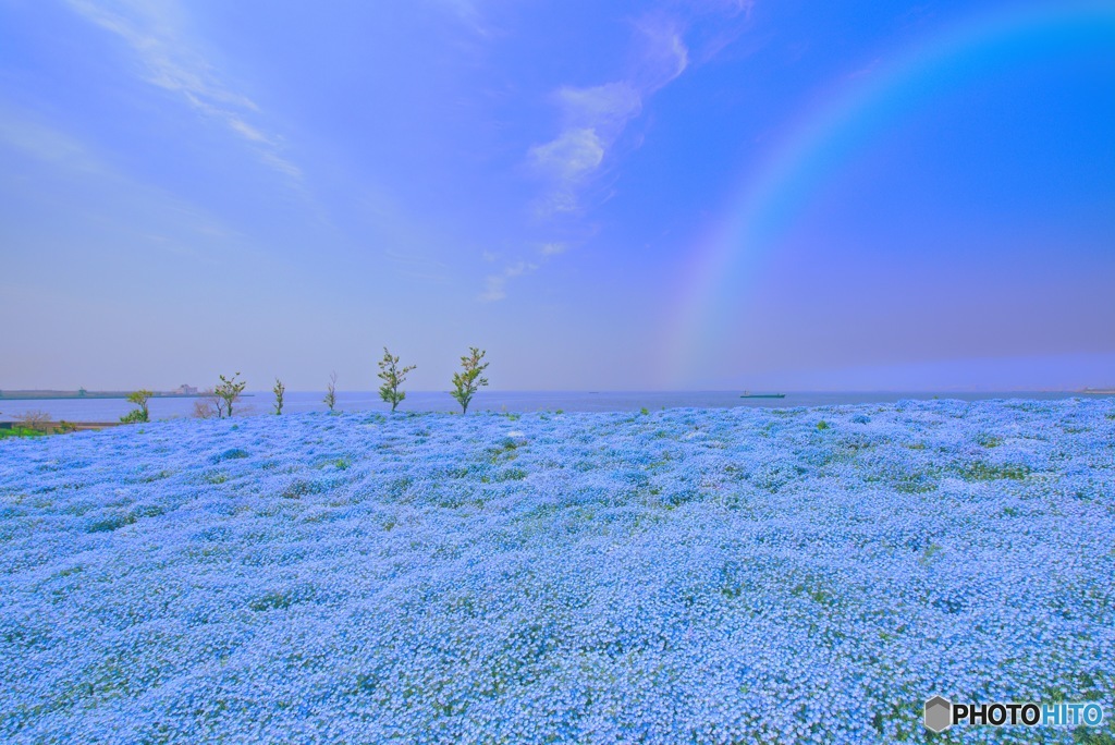 Blu cielo