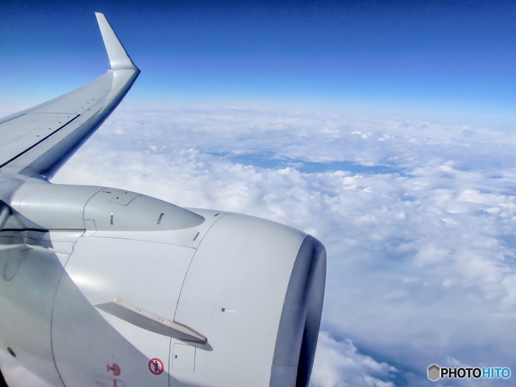 Blue sky☁︎✈︎☁︎