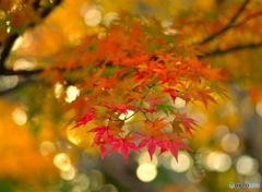 Gradation edge (archive)