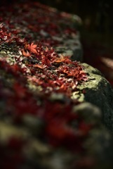 『  有終の美  』