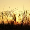 『  晩秋の夕景  』