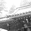 雨