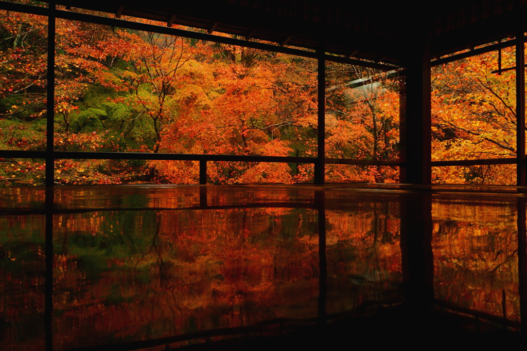 秋の京都（1）