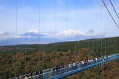 三島スカイウォーク展望台から見た富士山