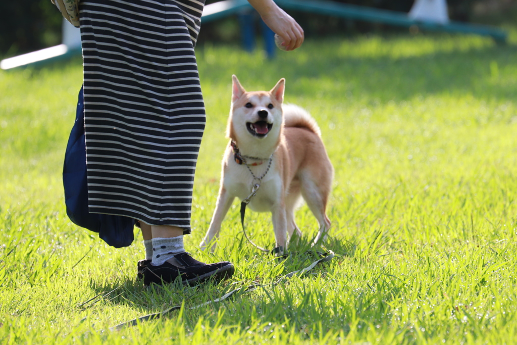 はやく～