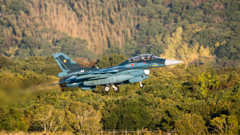 築城基地航空祭 2024年11月24日(日)
