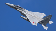 岐阜基地航空祭 2024年11月7日(木) 編隊飛行訓練(機動飛行)