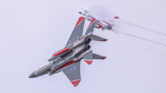岐阜基地航空祭 2024年11月17日(日)
