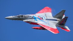 岐阜基地航空祭 2025年 10月8日(水) 事前訓練