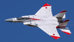 岐阜基地航空祭 2024年11月6日(水) 編隊飛行訓練(機動飛行)