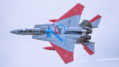 岐阜基地航空祭 2025年 10月12日(日)
