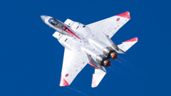 岐阜基地航空祭 2024年11月11日(月) 編隊飛行訓練(機動飛行)