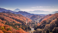 紅葉　2026年 11月21日　山梨