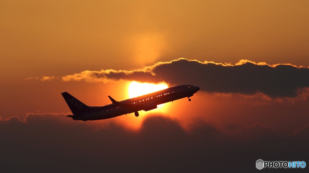 中部国際空港 2019年 2月17日
