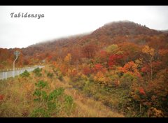 2016102302