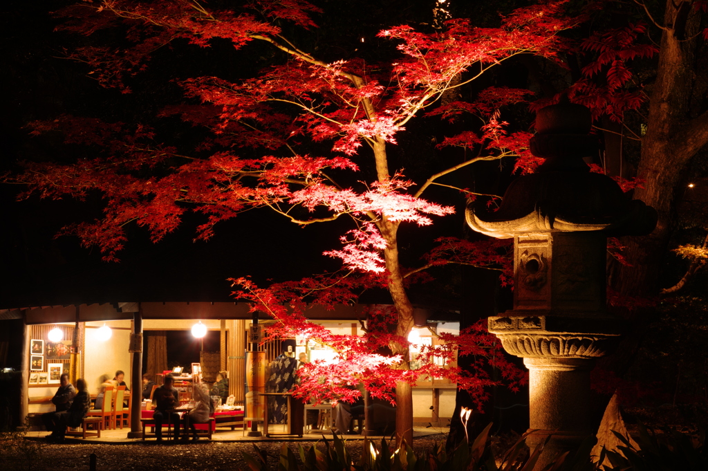 六義園