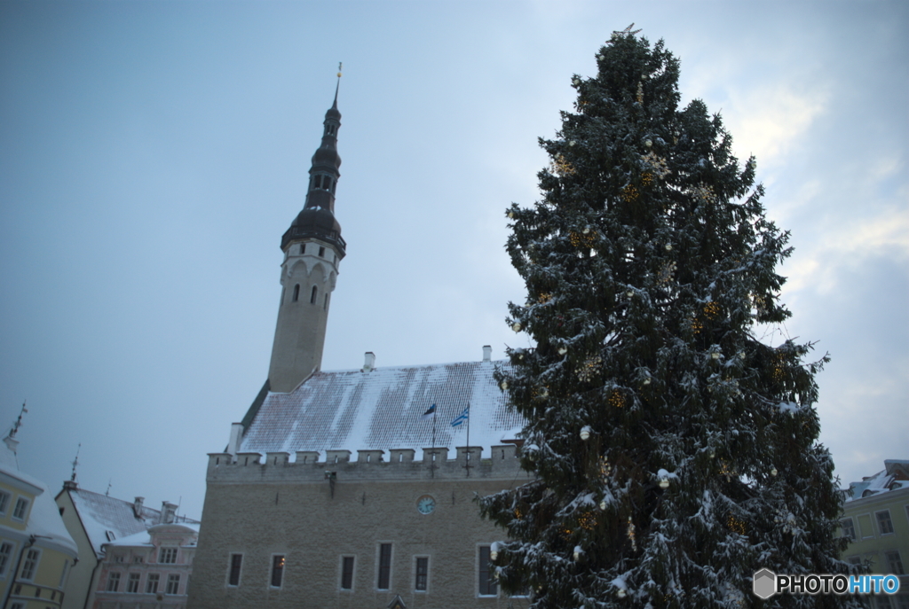 そびえ立つ旧市庁舎とクリスマスツリー