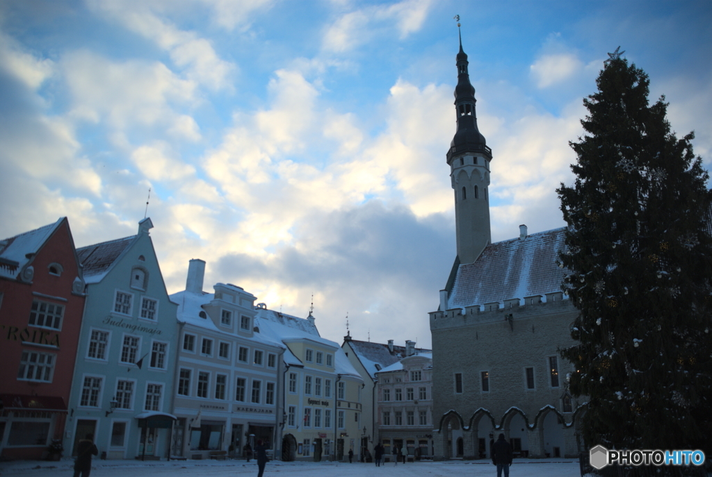 旧市庁舎とクリスマスツリーの背比べ