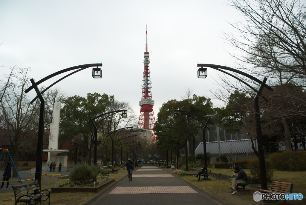 芝公園から見る東京タワー