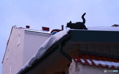 屋根に黒猫！...のオブジェ