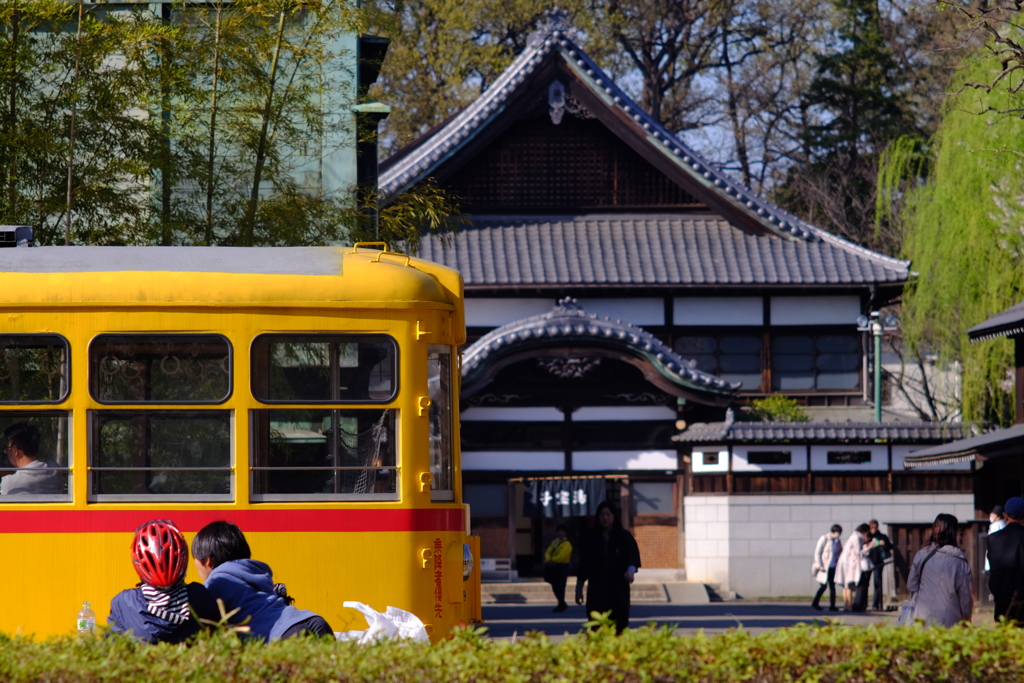 小金井公園