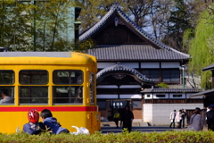 小金井公園