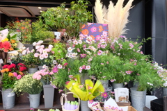 花②