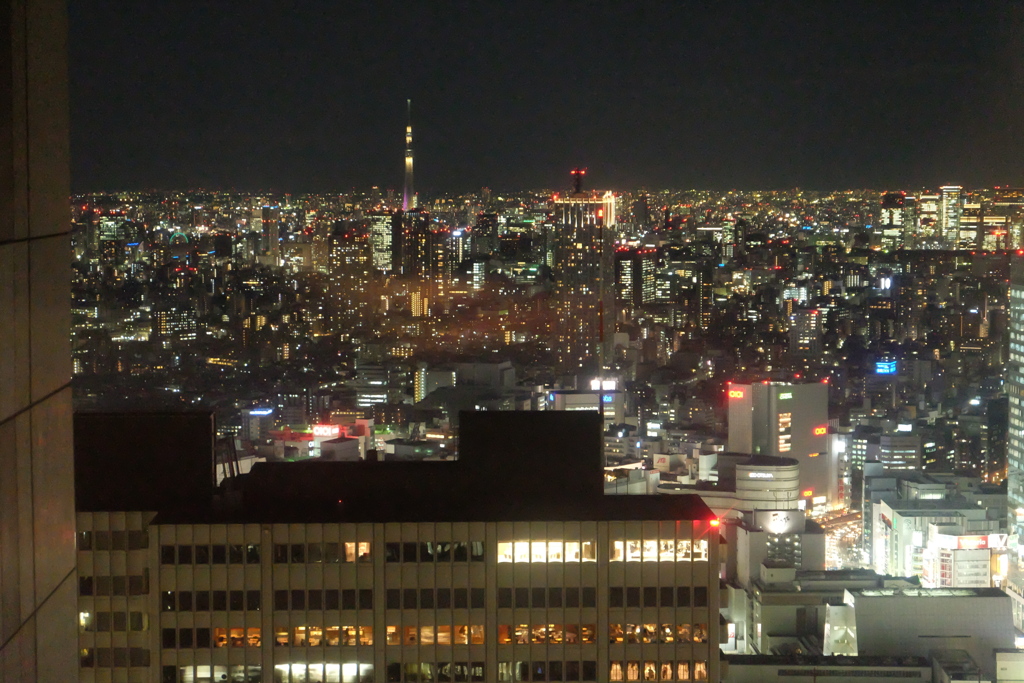 都庁からの夜景