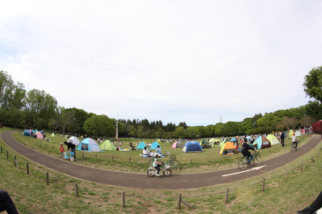 テントだらけの公園